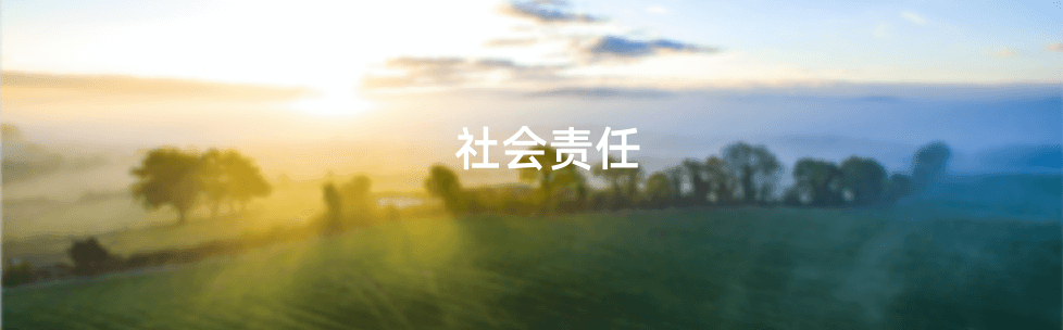 红桃国际(中国区)有限公司官网