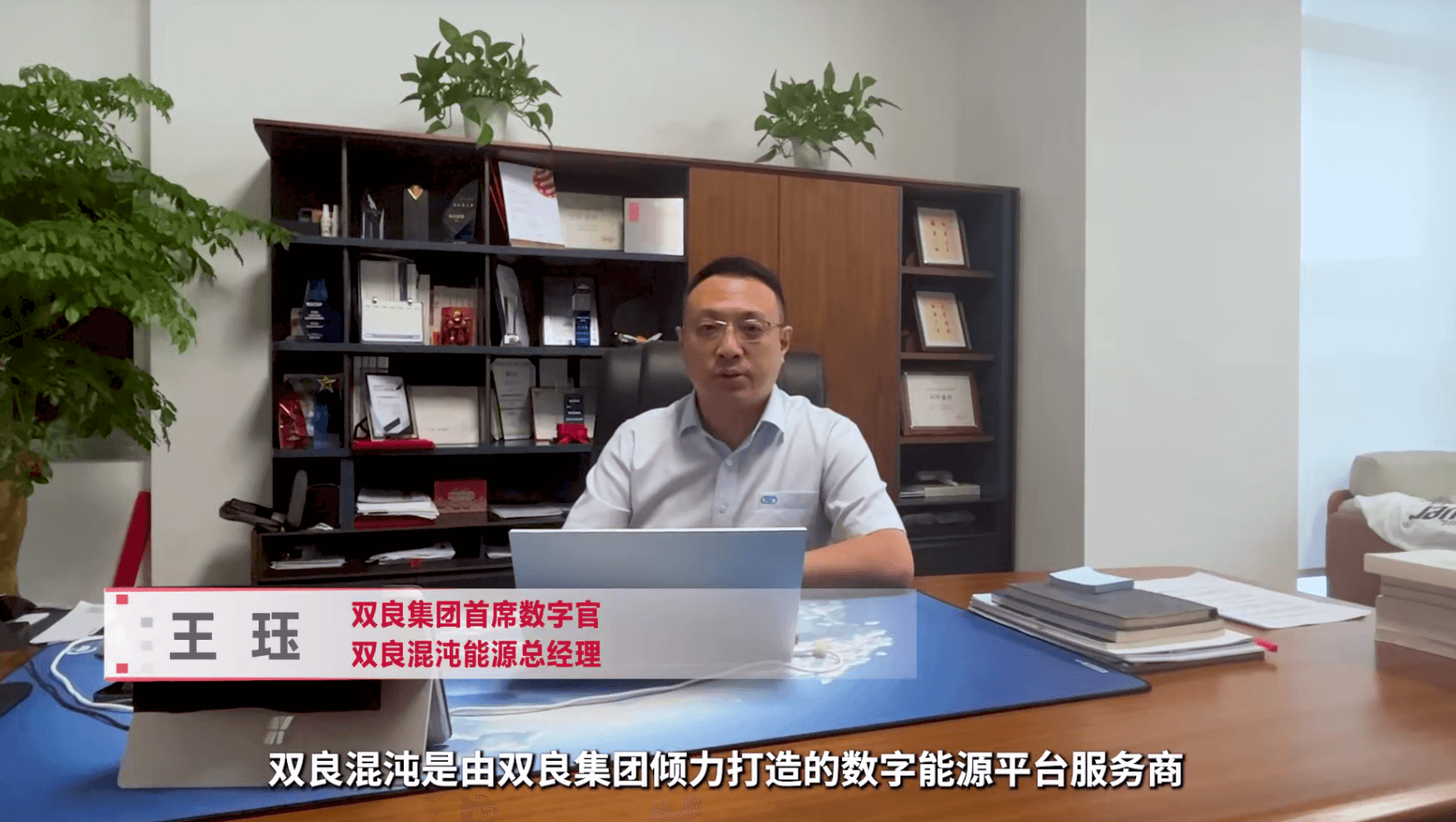 双良混沌