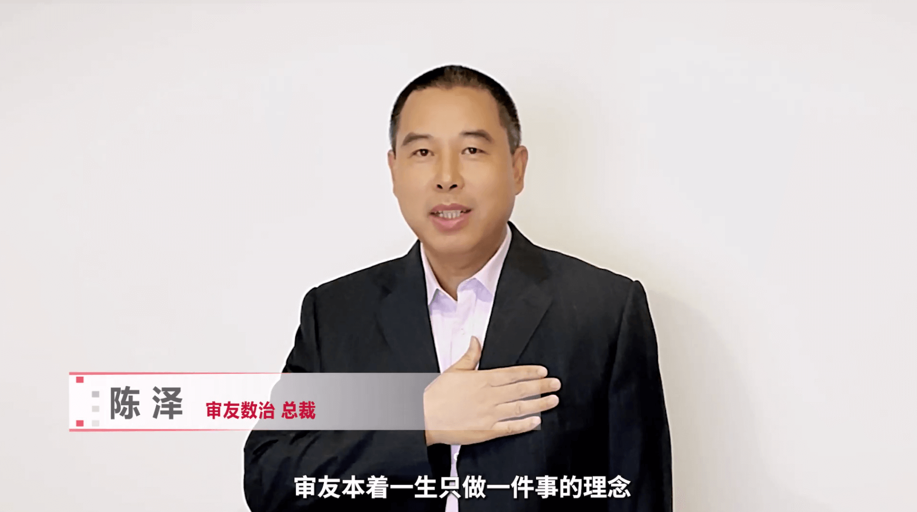 审友数治